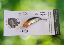 Load image into Gallery viewer, Alpha Kustom Lures - ORBY
